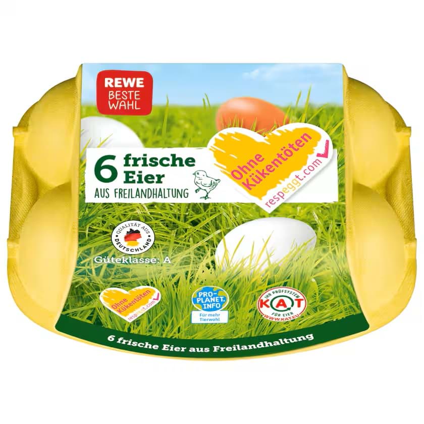 REWE Beste Wahl Eier Freilandhaltung 6 Stück
